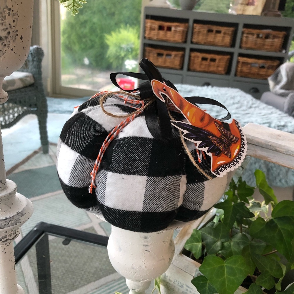 Cloth Pumpkin - Picture 4 of 5
